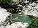dscf1193.jpg